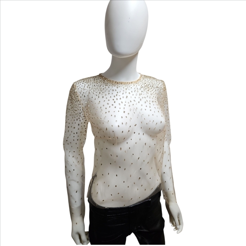 LIRIKA MATOSHI | Sheer Mesh Glitter Top in Size Small - Picture 2 of 10